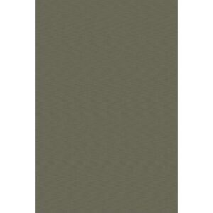 Виниловый ламинат Bolon Sage 2000x4000